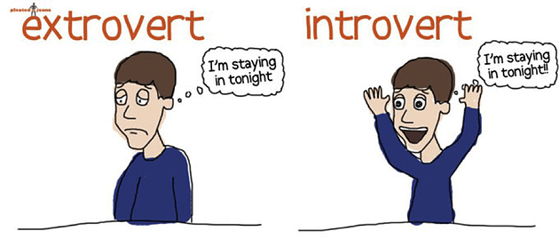 Bilderesultat for introvert