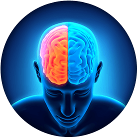 rewire brain